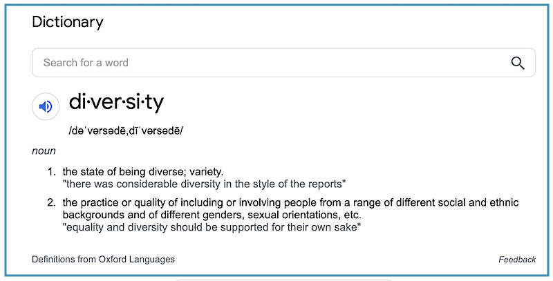 Google definition of diversity